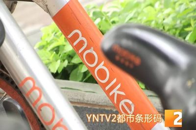 昆明共享單車管理升級 違停摩拜將罰款，ofo小黃車批量封存